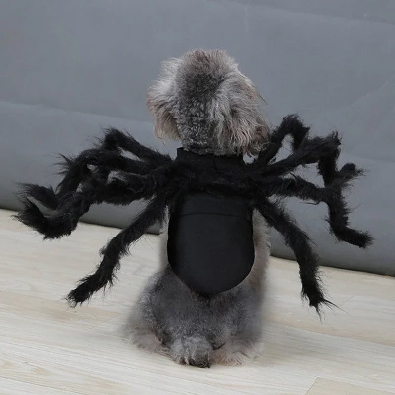 Spider Pet Costume