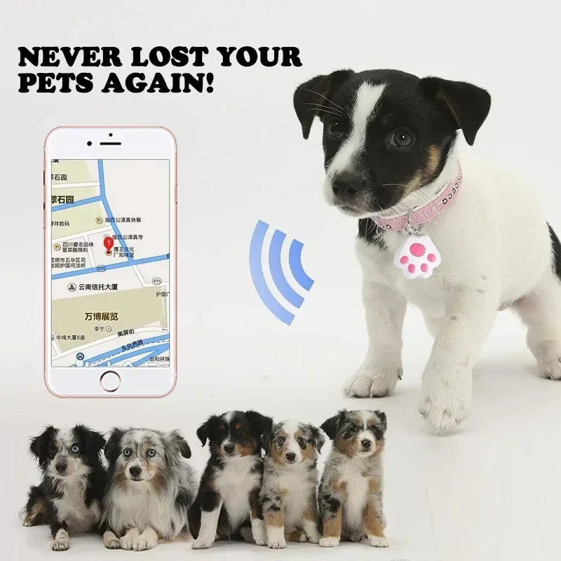 Pet Anti-lost Smart GPS Tracker (Android or iOS)