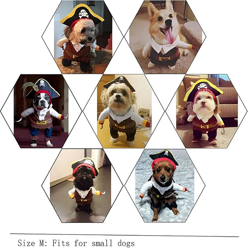 Pirate Pet Costume