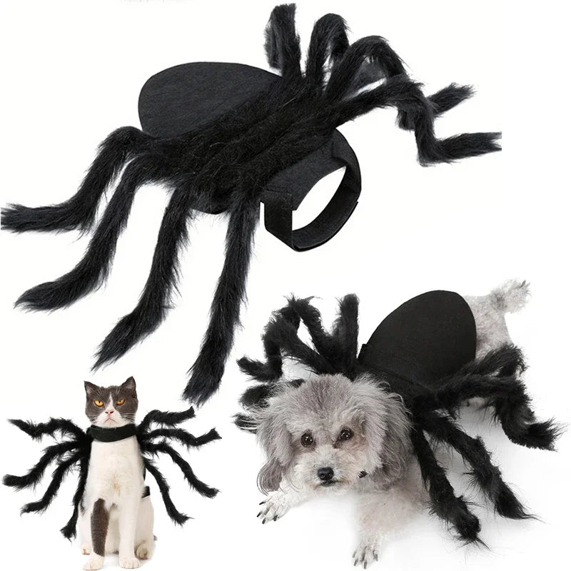 Spider Pet Costume