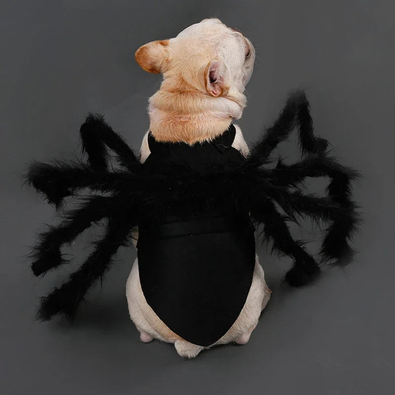 Spider Pet Costume
