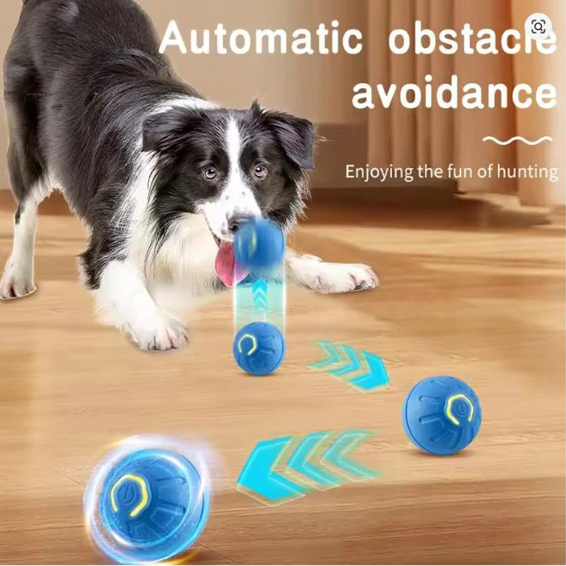 Automatic Pet Play Ball