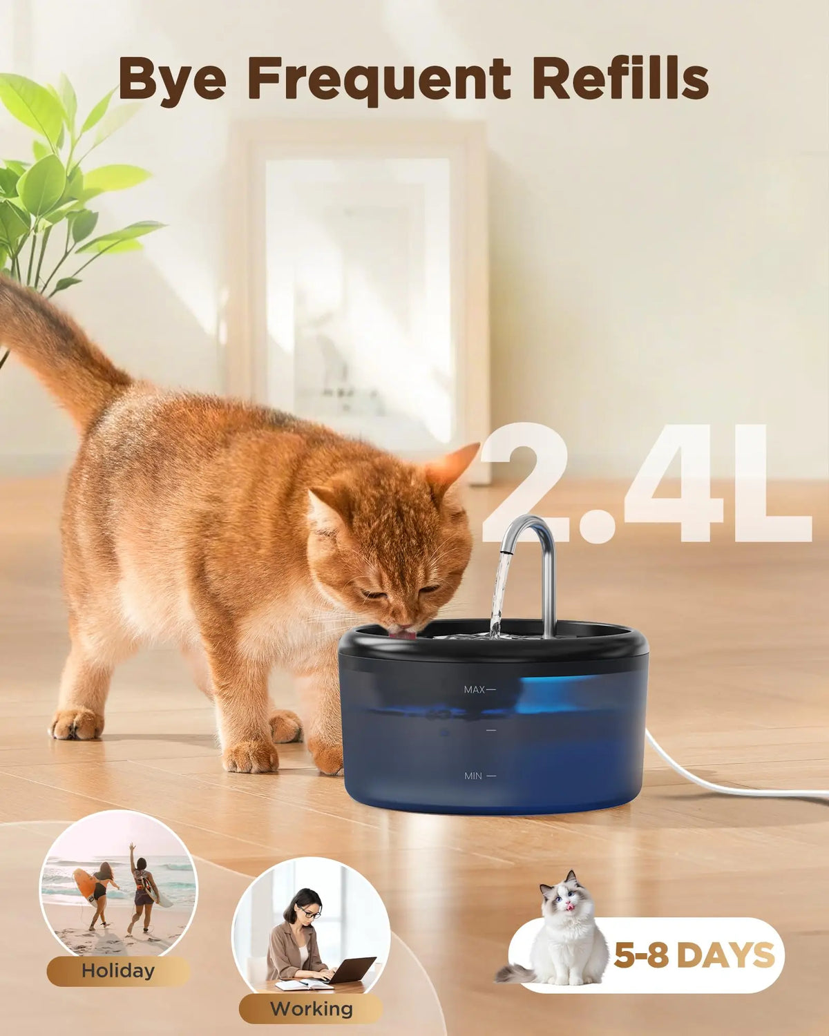 2.4 L Pet Water Fountain