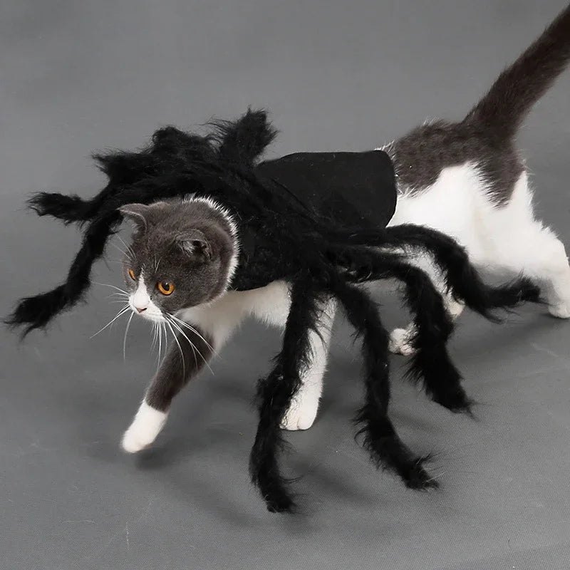 Spider Pet Costume