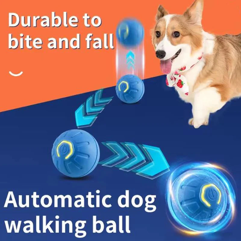 Automatic Pet Play Ball