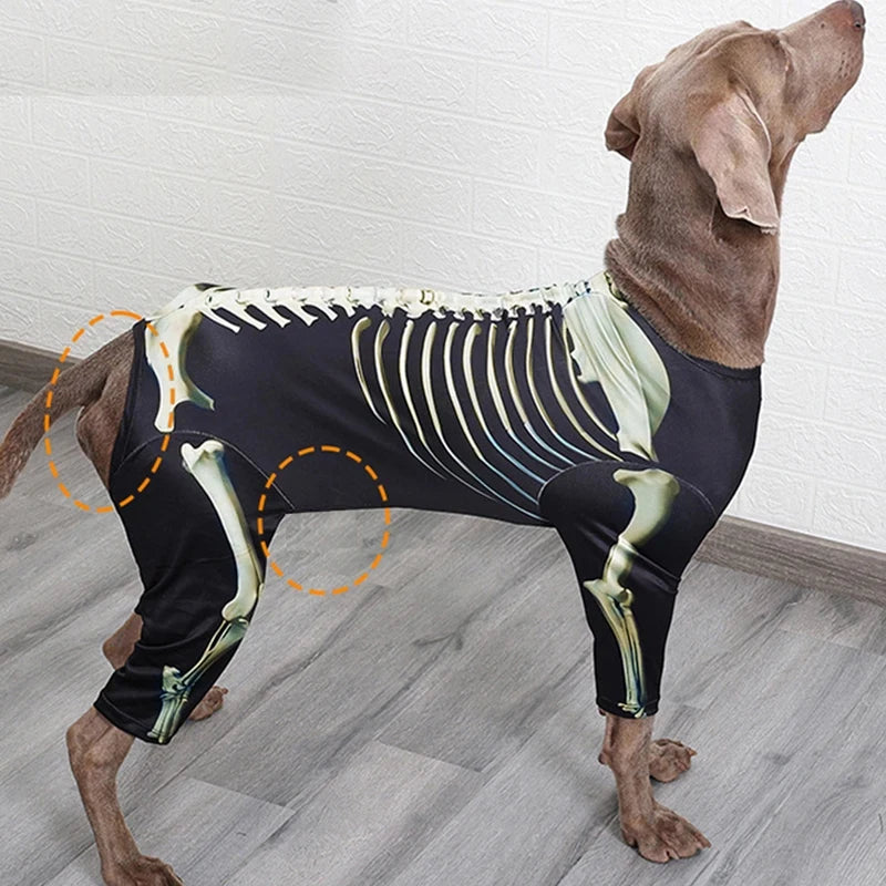 Skeleton Dog Costume