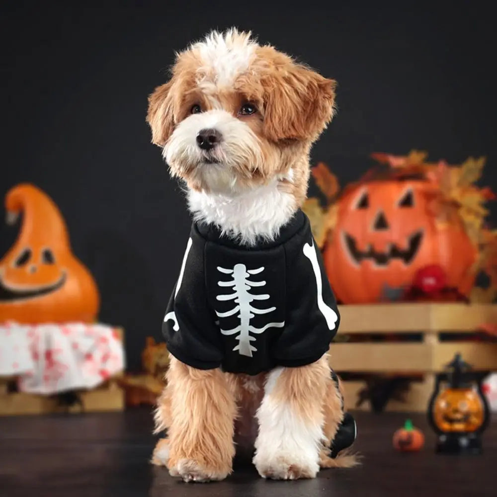 Luminous Pet Skeleton Costume (Soft Halloween Pet Hoodie)