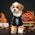 Luminous Pet Skeleton Costume (Soft Halloween Pet Hoodie)
