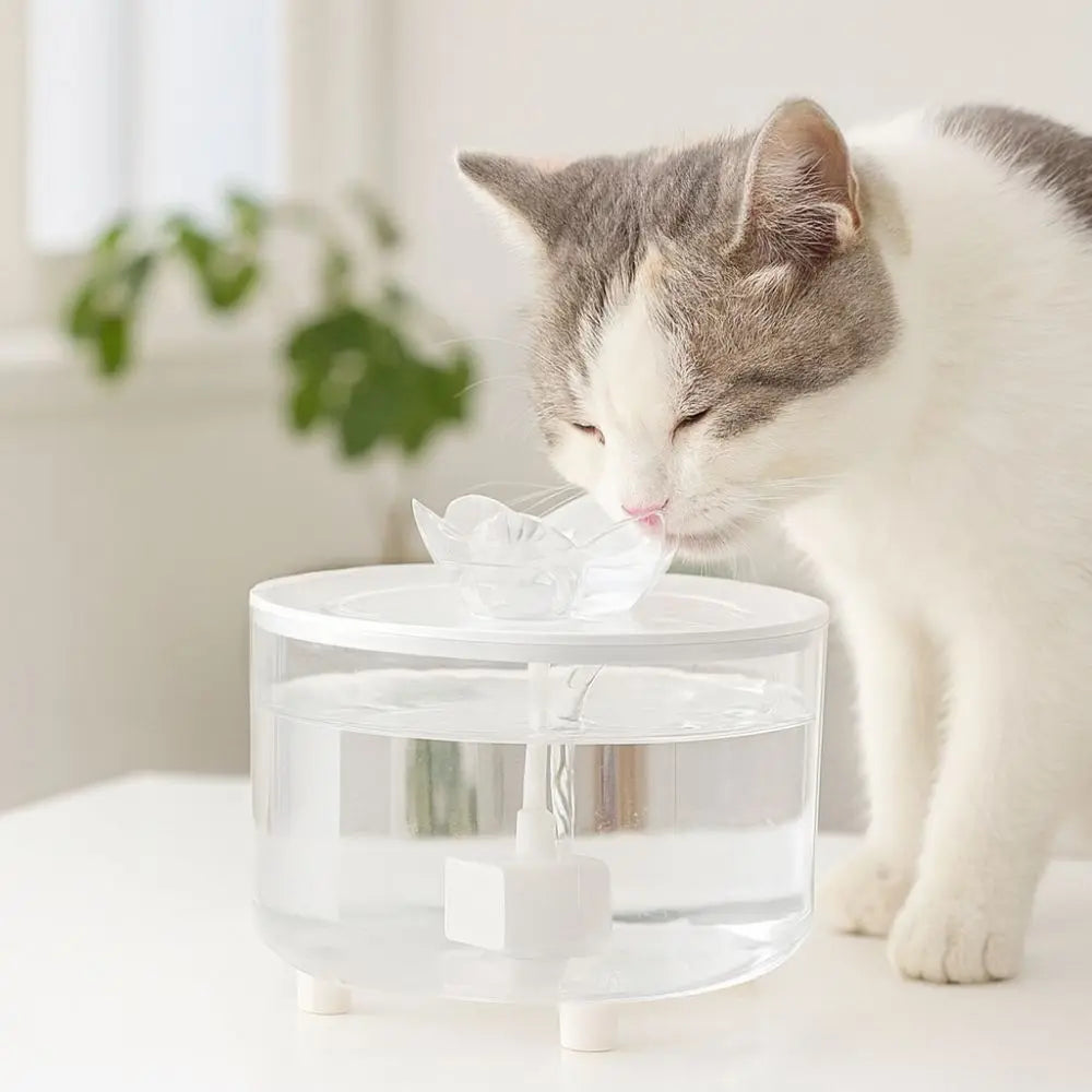 USB Pet Water Fountain