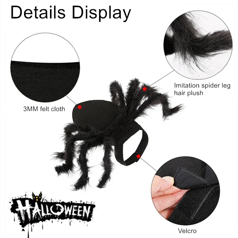 Spider Pet Costume